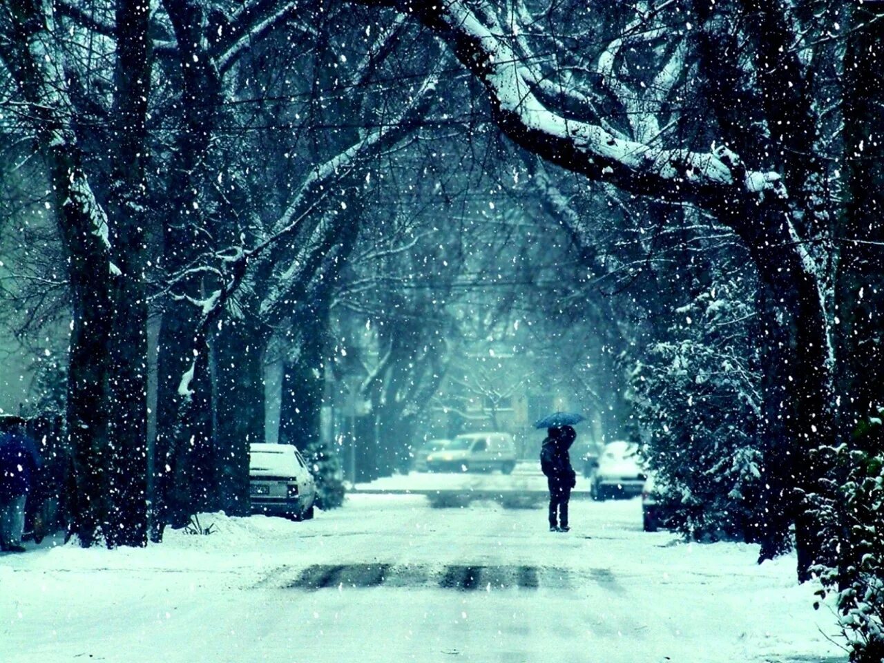 Снежок не радует на дорогу падает. Красивый снегопад. Зима снегопад. Снег идет. Зимний город.