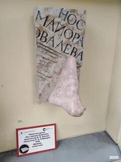 Имя ковалева из носа