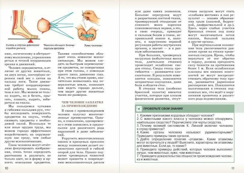 Биология 6 класс учебник сивоглазов. Учебник по биологии 8 класс Сивоглазов Сапин. Биология 7 класс Сивоглазов Сапин Каменский. Биология 8 класс Сивоглазов Сапин Каменский. Учебник по биологии 8 класс Сивоглазов 8 класс.