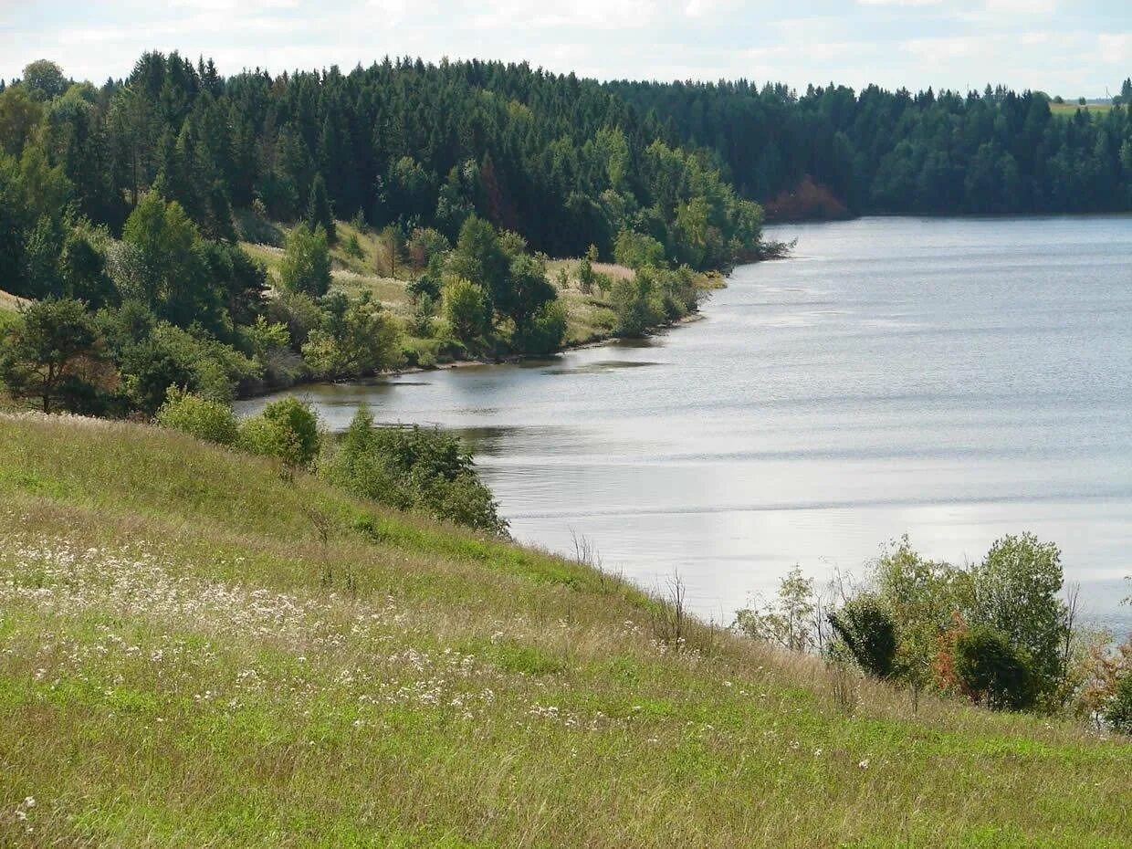 Ивановская область село елнать. Река елнать ивановская область. Река елнать ивановская. Елнать ивановская область. Река елнать ивановская область.