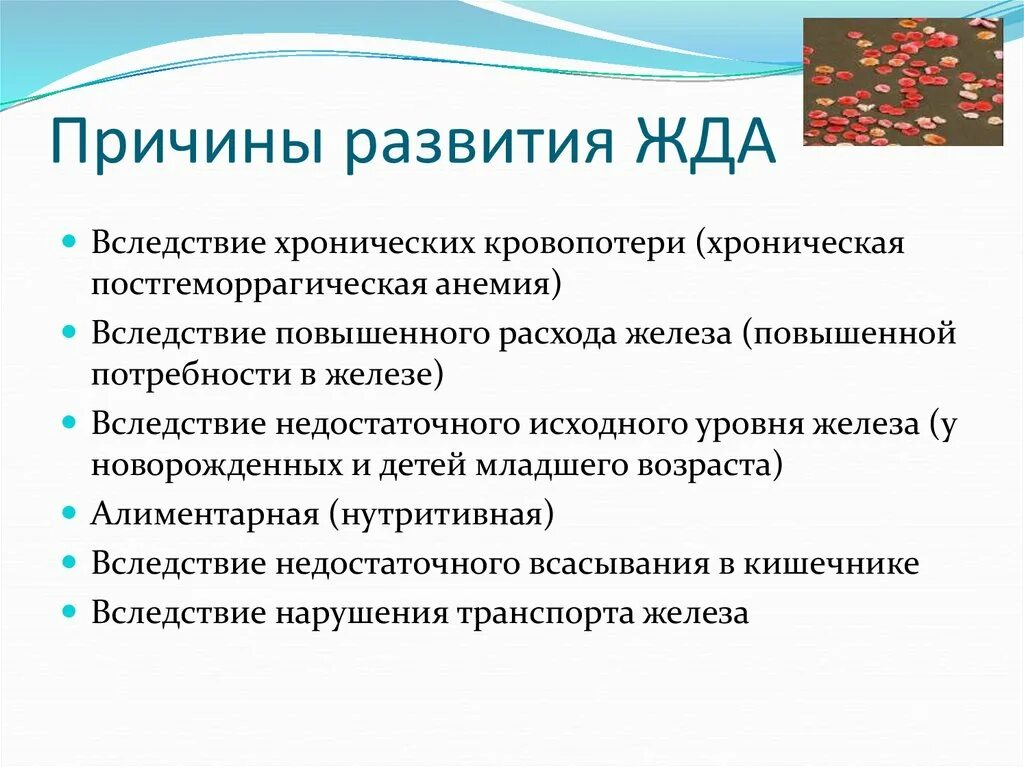 Железодефицитная анемия наблюдается при. Назовите возможные причины развития железодефицитных анемий. Причины развития жда. Причины железодефицитной анемии. Основные причины железодефицитной анемии.