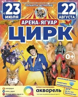 Цирк тольятти акварель 2024 расписание