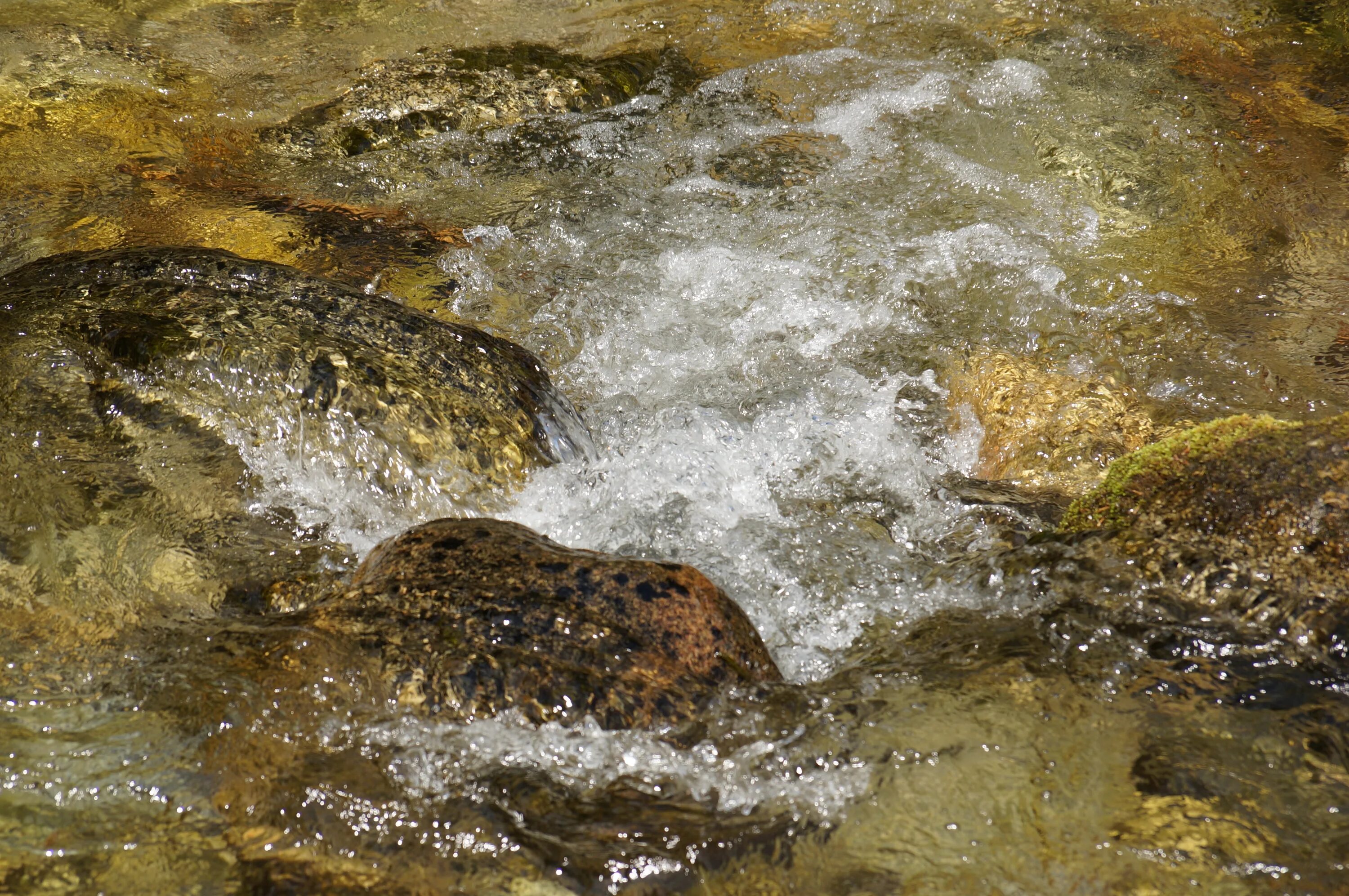 Включи течение воды. Текущая вода. Течение воды. Текущая река. Вода течет.