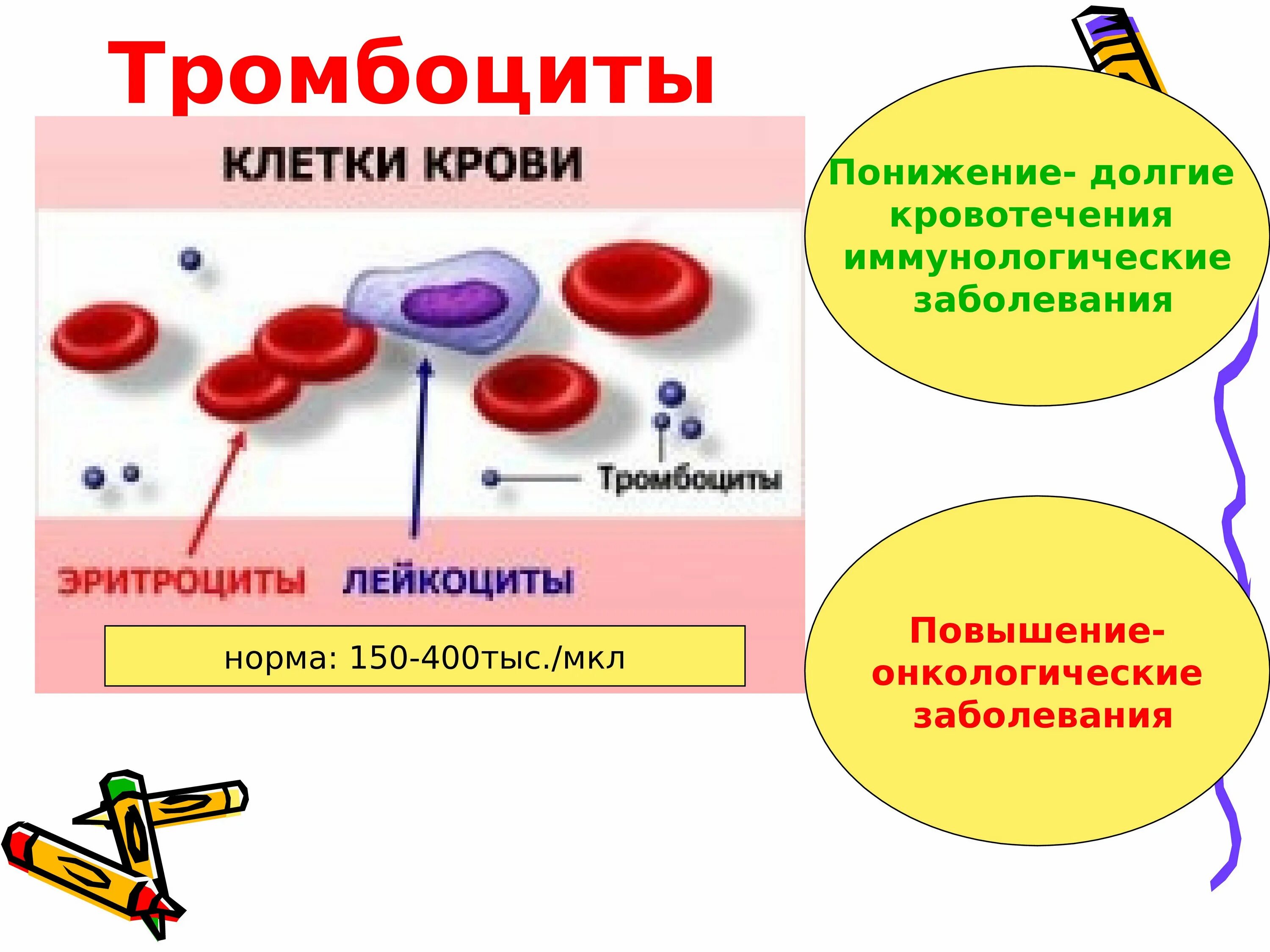 Лейкоциты эритроциты понижены. Форменные элементы крови строение эритроциты. Форменные элементы эритроциты лейкоциты тромбоциты. Форменные элементы крови кровяные пластинки. Кровь эритроциты лейкоциты тромбоциты.