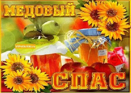 Медовый спас 2024 открытки