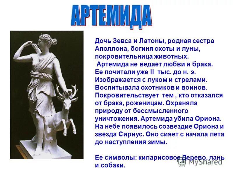 Дочь зевса и мнемозины 4. Дочь зевса и мнемозины 4