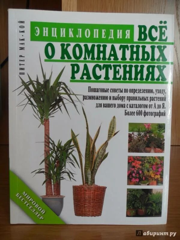 Энциклопедия комнатных растений книга. Книги о комнатных цветах. Энциклопедия комнатных растений. Энциклопедия комнатных. Энциклопедия о комнатных растениях и цветах.