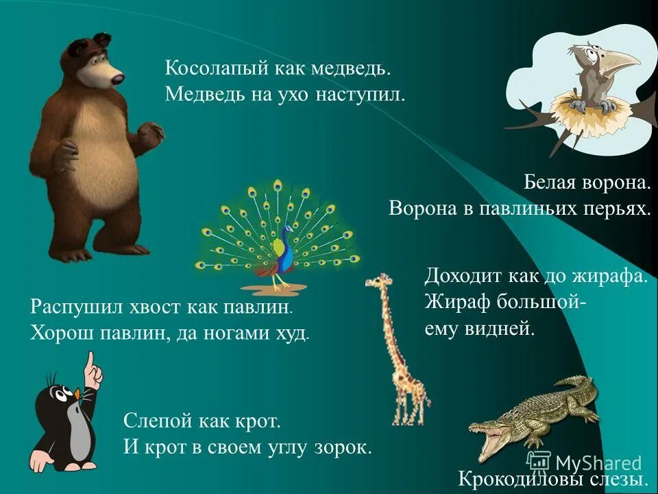 Составить предложение со словом медведь. Предложение со словом медведь. Медведь. Придумать предложение со словом медведь. Медведь составить предложение.