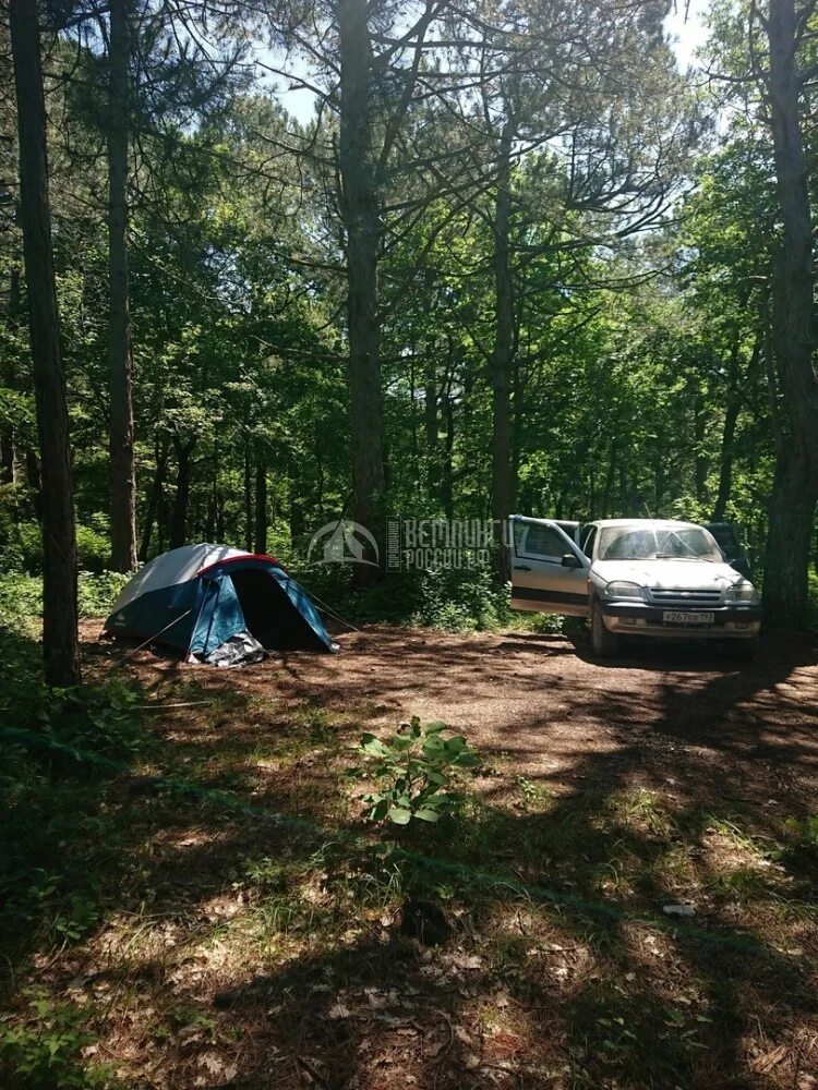 Camping pinewood 2 на русском. Воронеж автокемпинг Сосновый Бор. Шира Сосновый Бор палаточный лагерь. Кемпинг Сосновый Бор Песчаное. Кемпинг Воронеж с палаткой.