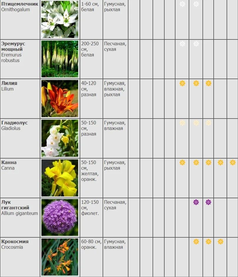 Схема посадки луковичных первоцветов. Сроки цветения многолетников. Таблица посадки луковичных. Таблица сроков цветения многолетников.
