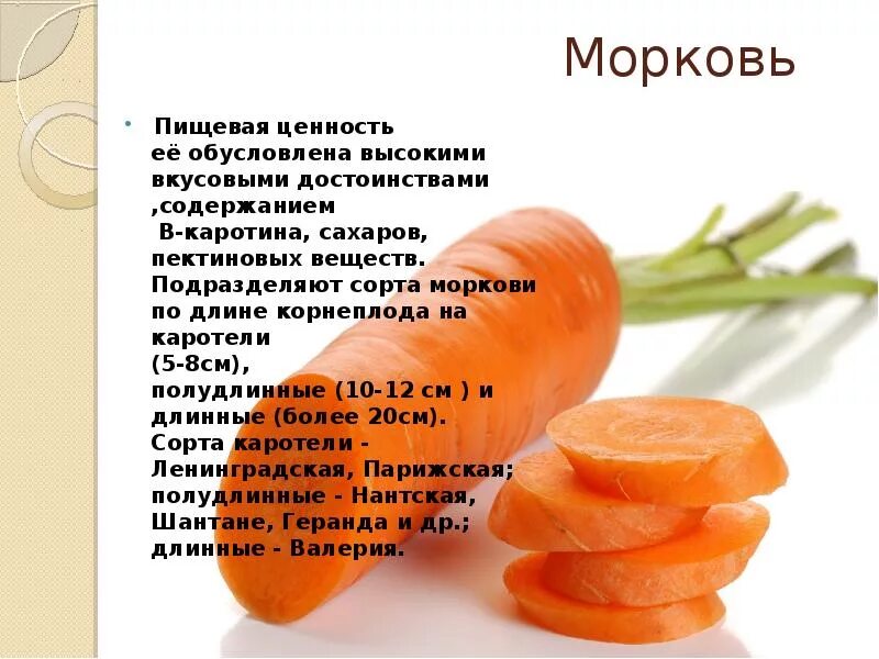 Вещества содержащиеся в моркови. Пищевая ценность моркови. ценность моркови. питательные вещества в моркови. питательная ценность моркови.