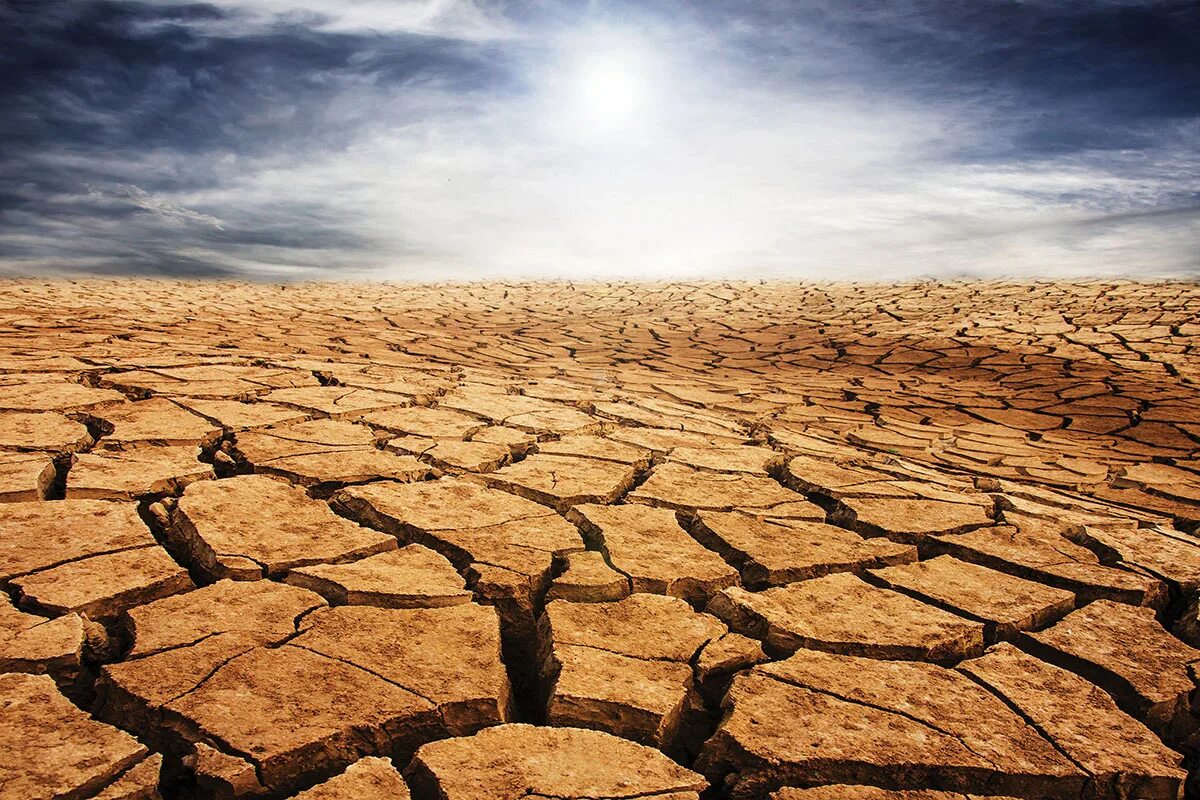 Засуха в мире. Пустыня трещины. Засуха. Земля в пустыне. Опустынивание.