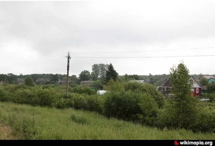 Новосокольники псковская область гостиница. Деревня оредеж ленинградская область. Пустошка новгородская область. Мост через реку оредеж. Пустошка (лужский район).