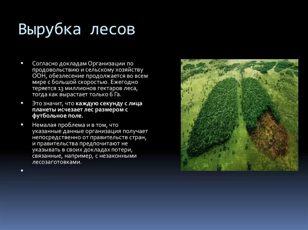 Вырубка лесов воздействие на человека. Вырубка лесов воздействие на человека. Массовые вырубки лесов. Экологические проблемы зоны леса. Последствия вырубки лесов для человека.