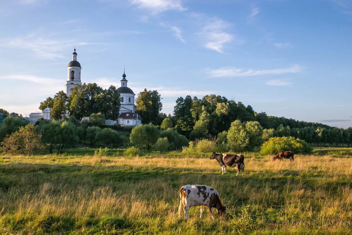 Родина картинки. Родина. Родина Россия. Родин. Родина Русь.