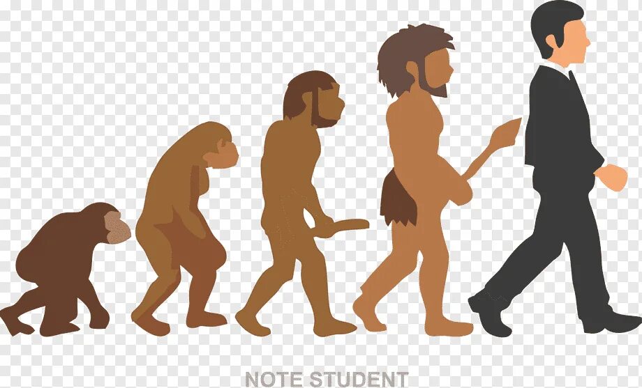 Программа homo sapiens