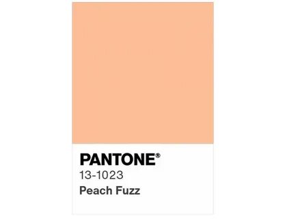 Персиковый пушок 13 1023 peach fuzz