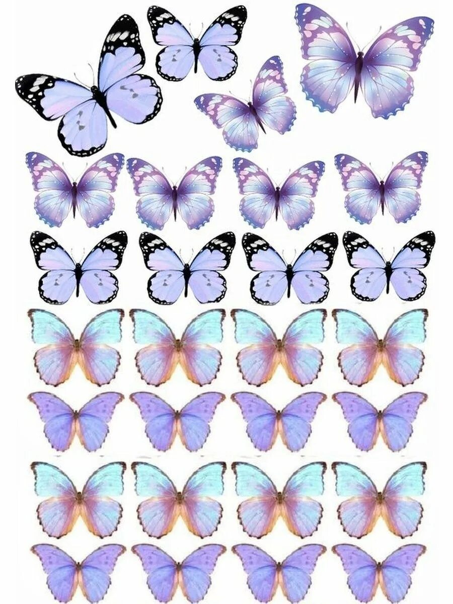 Вафельные бабочки для торта купить. Торт «бабочки». Вафельные бабочки. Бабочки сиреневые для печати на вафельной бумаге. Бабочки фиолетовые для печати на торт.