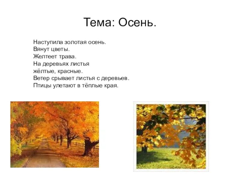 Наступила Золотая осень. Осень наступила листья. Наступила осень на деревьях листья. Улетают птицы в теплые края листья пожелтели. Пришел сентябрь золотой