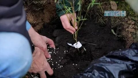 Посадка интернет
