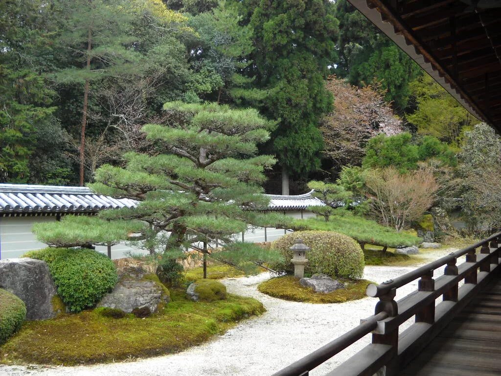 Японский ботанический сад, киото, япония архитектура. От метро владыкино до ботанического сада. Как пройти в японский сад. Ботанический сад владыкино карта. Как пройти в японский сад.