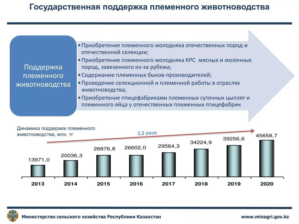 Анализ состояния и перспектив развития. Перспективы развития скотоводства. Структура племенного животноводства. Состояние отраслей животноводства. Перспективы развития отрасли животноводства.