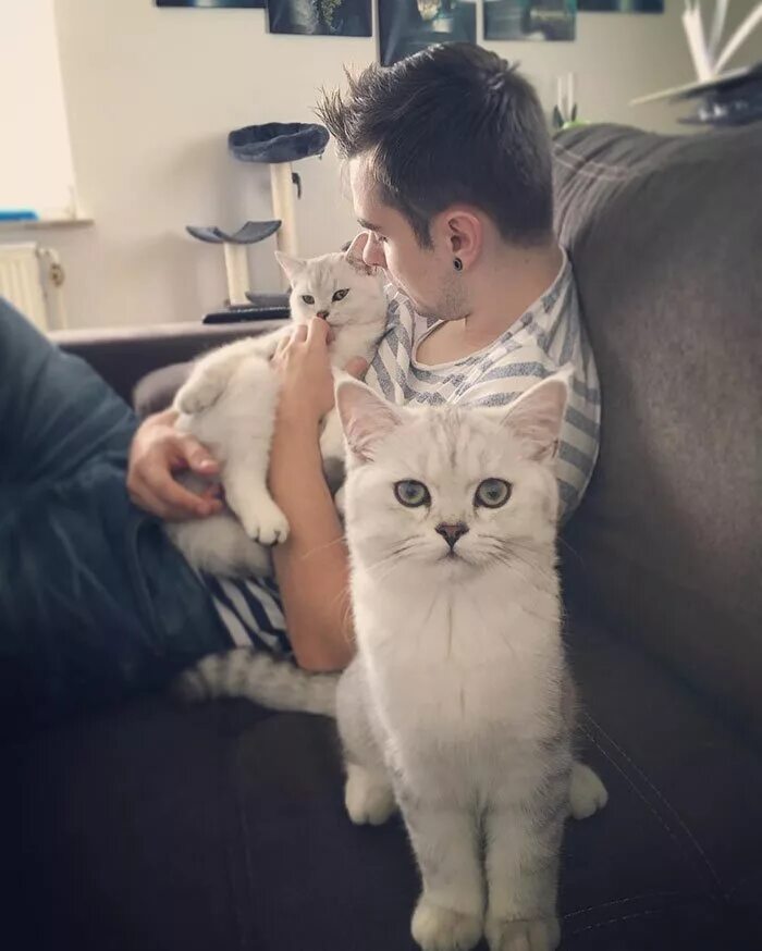 Кот любимый кот парню. Парни и котики. парень с кошкой. мужчина с котиком. парень с кошечкой.