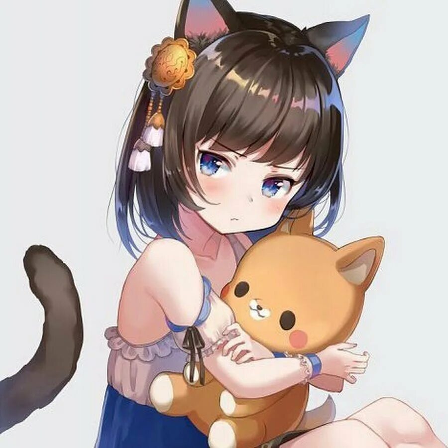Покажи cat net