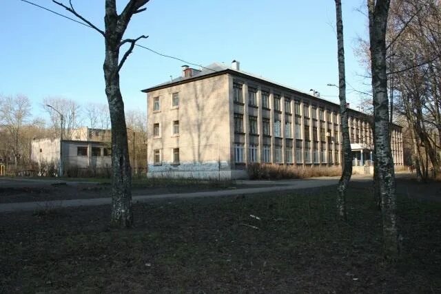 Школа 3 череповец. Школа 3 череповец профили. Детско юношеская спортивная школа №3 череповец. Школа номер 3 череповец. Школа 3 череповец.