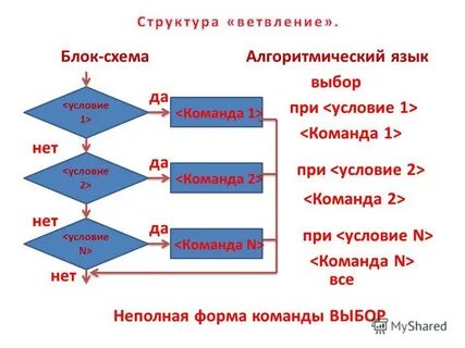 Выбор команды