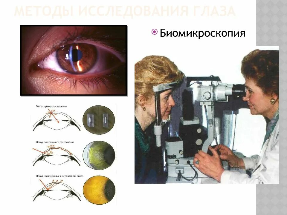 Электрофизиологическое исследование глаз. Офтальмоскопия (биомикроскопия глазного дна). биомикроскопия роговицы. биомикроскопия переднего отдела глаза. биомикроскопия с щелевой лампой.