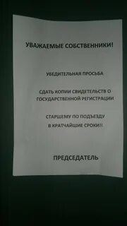 Сдать копия