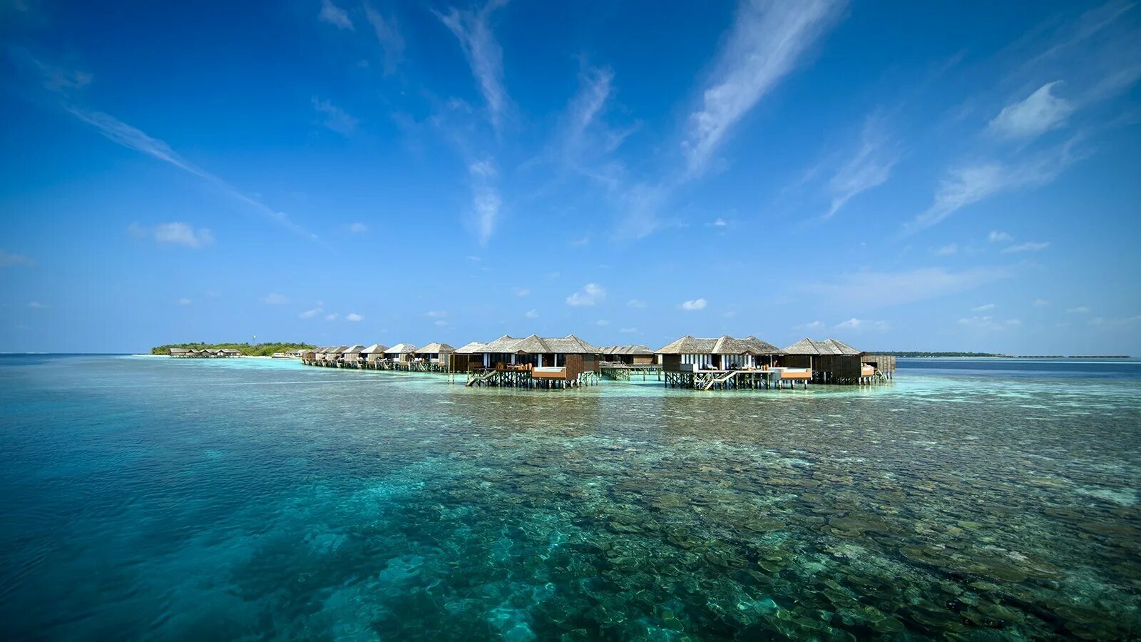 Www island. Lily Beach Resort Spa 5. Мальдивы панорама. Шератон Мальдивы фото.