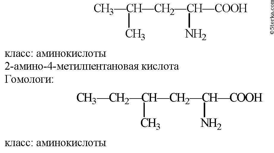 2-Амино-3-метилпентановой кислоты. 2-Амино-4-метилпентановой кислоты. 2 Амино 4 метилпентановая кислота. 2-Амино-3-метилпентановая кислота изомеры. Этилпентановая кислота формула