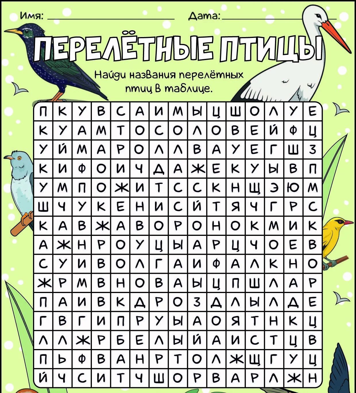 Найди название птиц. Птицы зимующие задания для детей 4. Задания по силуэтам птиц. Найди название птиц. Найди название птиц.