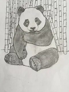 Как нарисовать панду картинки