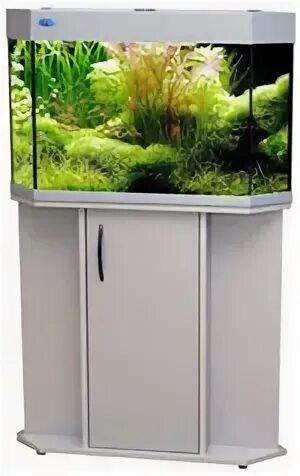 лагуна 200. аквариум 200 литров габариты. аквариум биодизайн диарама 150. аквариум laguna apollon 100. фильтры для аквариума лагуна 150kf.