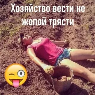 Женщины копают картошку