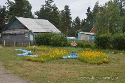 Погода хвойнинском районе новгородской