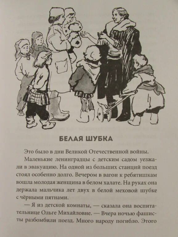 Черному по белому читать краткое. Скребицкий сказка белая шубка. Белая шубка рассказ. Иллюстрация к рассказу белая шубка. Рассказ Скребицкого белая шубка.