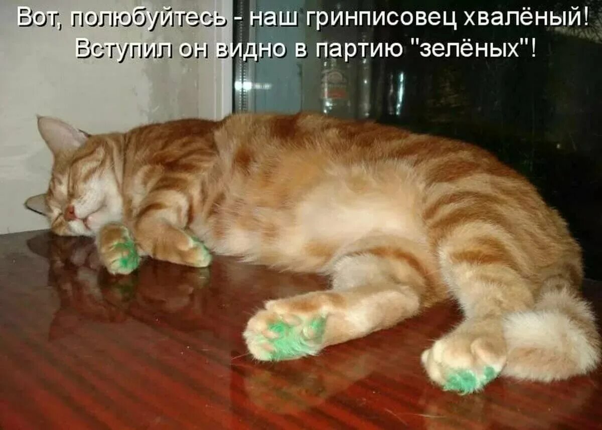 Зараза фото. Вот такая ты зараза девушка моей мечты. Сама зараза. Сама зараза. Мыслить шире.