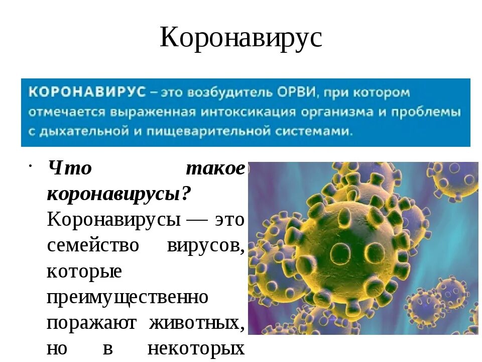 Коронавирус в учебнике по биологии. Сообщение о вирусе коронавирус. Коронавирус краткое сообщение о вирусе. Сообщение о вирусе по биологии коронавирус.