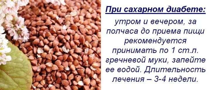 Гречка польза и вред для женщин. Чем полезна гречка для организма. Чем полезна гречка. Чем полезна гречневая каша для организма. Польза гречки.