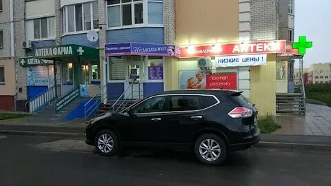 Картукова орел