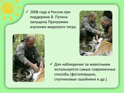 Наблюдение за животными какая наука