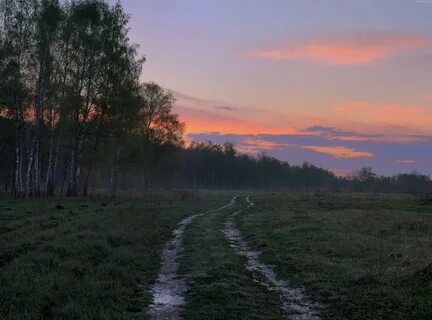 Пейзажи подмосковья