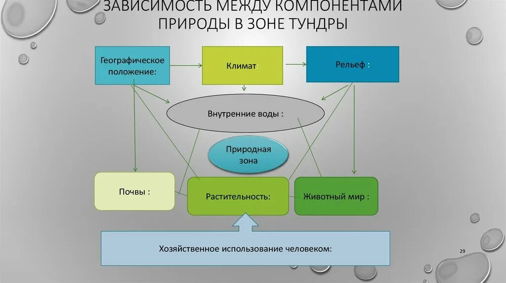 Характеристики компонентов природы. Взаимосвязь компонентов природы на территории тундры. Зависимость между компонентами природы. Зависимость между компонентами природы в зоне тундры. Взаимосвязь компонентов природы.