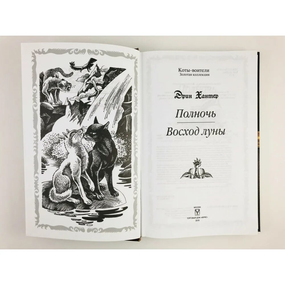 Читать восход луны. Коты Воители книга полночь. Коты Воители Золотая коллекция полночь Восход Луны. Коты Воители книга Восход Луны. Коты Воители Золотая коллекция полночь.