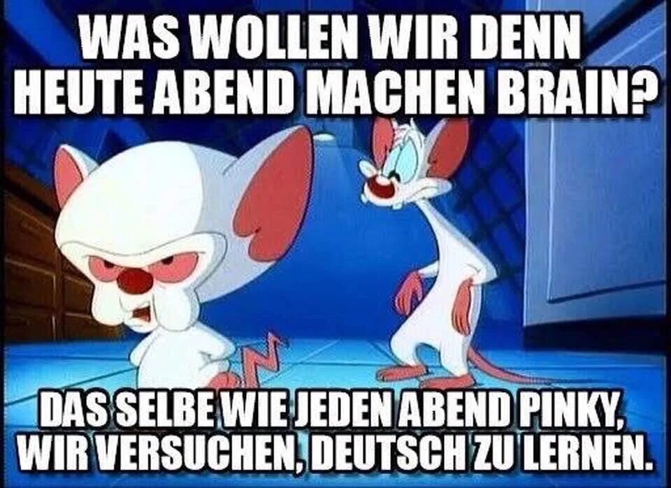 Пинки и Брейн. Пинки и Брейн в костюме. Пинки и Брейн приколы. Немецкие мемы. Was wollen wir слова