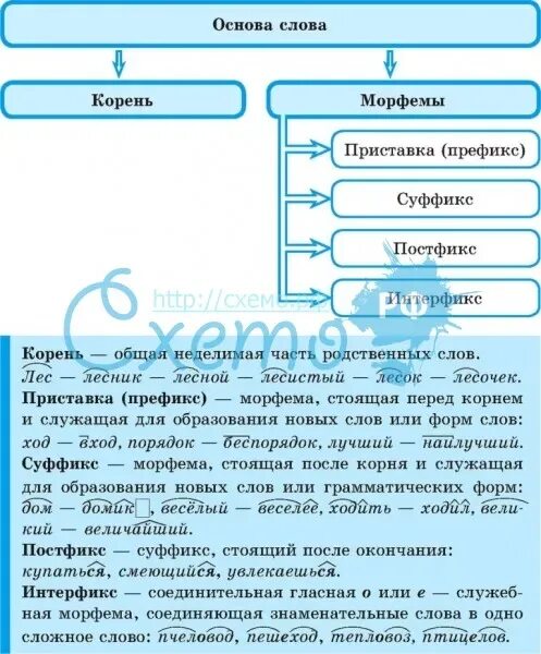 Обозначьте основу слова морфемы. Основа слова это морфема. Основа слова виды морфем. Морфема наименьшая значимая часть слова. Основа это морфема.